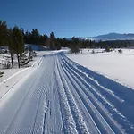 Sjodalen Hyttetun Og *