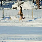 Sjodalen Hyttetun Og Stuttgongfossen