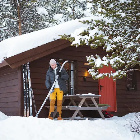 Sjodalen Hyttetun Og *