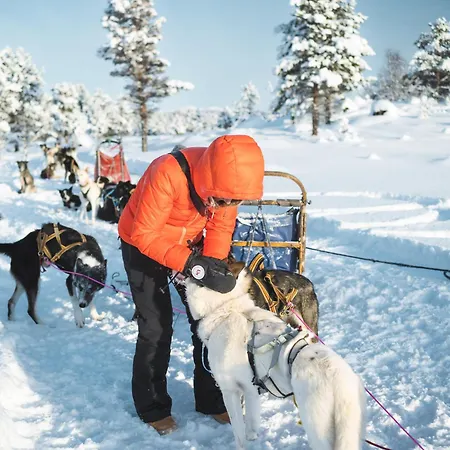 Sjodalen Hyttetun Og Chalet Stuttgongfossen