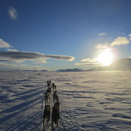 Chaleter Sjodalen Hyttetun Og Stuttgongfossen