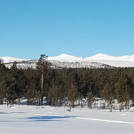 شاليه Sjodalen Hyttetun Og