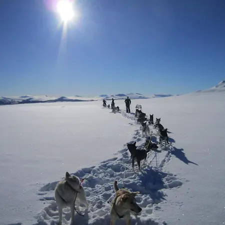 Sjodalen Hyttetun Og