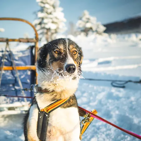 Sjodalen Hyttetun Og * Stuttgongfossen