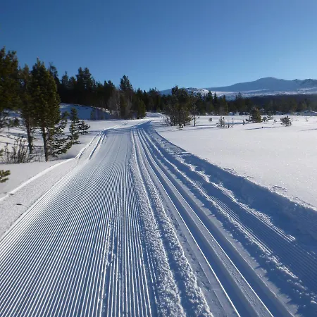 Sjodalen Hyttetun Og *