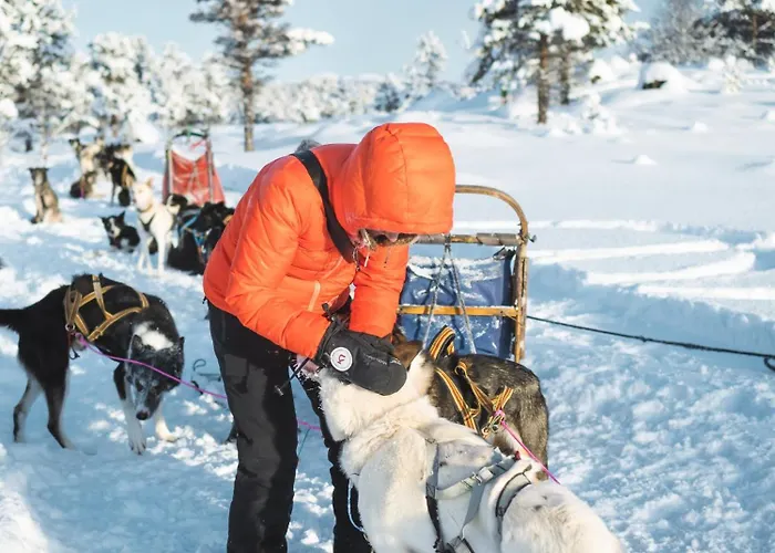 Sjodalen Hyttetun Og Alpstuga Stuttgongfossen