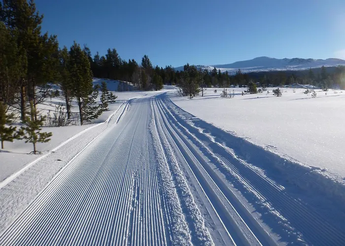 Sjodalen Hyttetun Og *