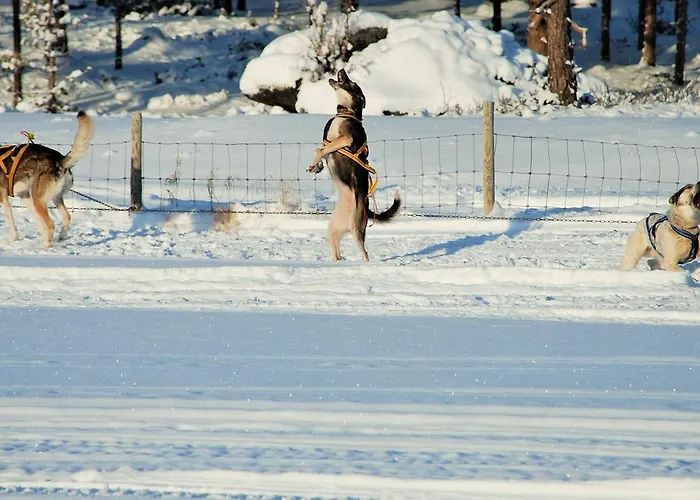 Sjodalen Hyttetun Og Stuttgongfossen
