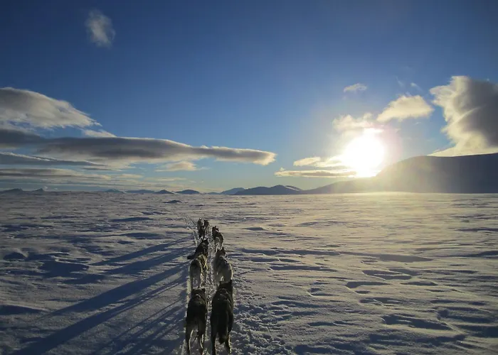 Alpstuga Sjodalen Hyttetun Og Stuttgongfossen