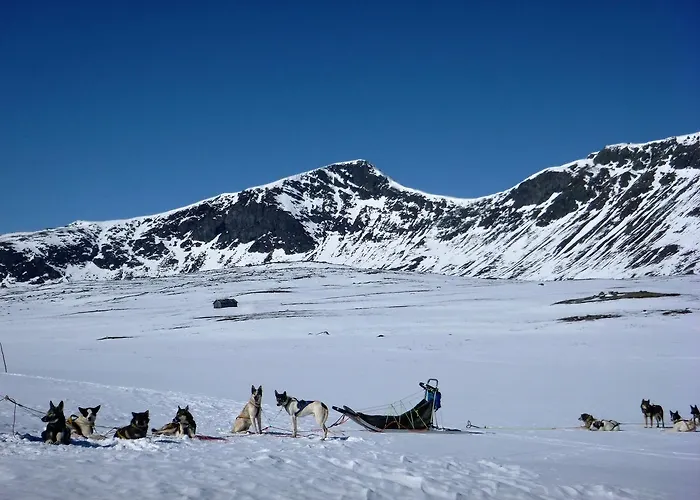 Sjodalen Hyttetun Og * Stuttgongfossen