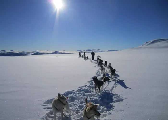 Sjodalen Hyttetun Og